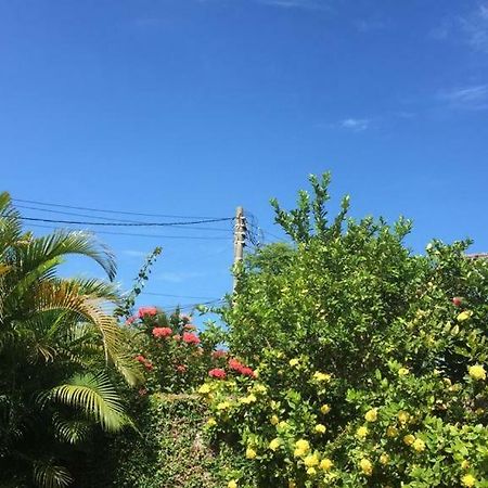 Ampla Casa De Praia 阿拉亚尔-杜卡布 外观 照片