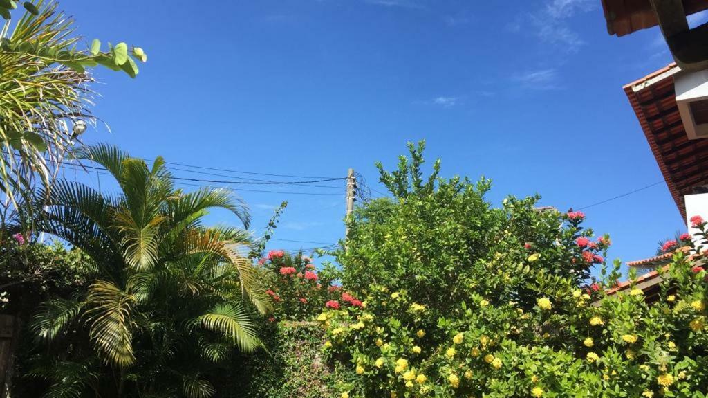 Ampla Casa De Praia 阿拉亚尔-杜卡布 外观 照片